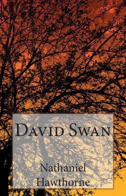 David Swan book cover
