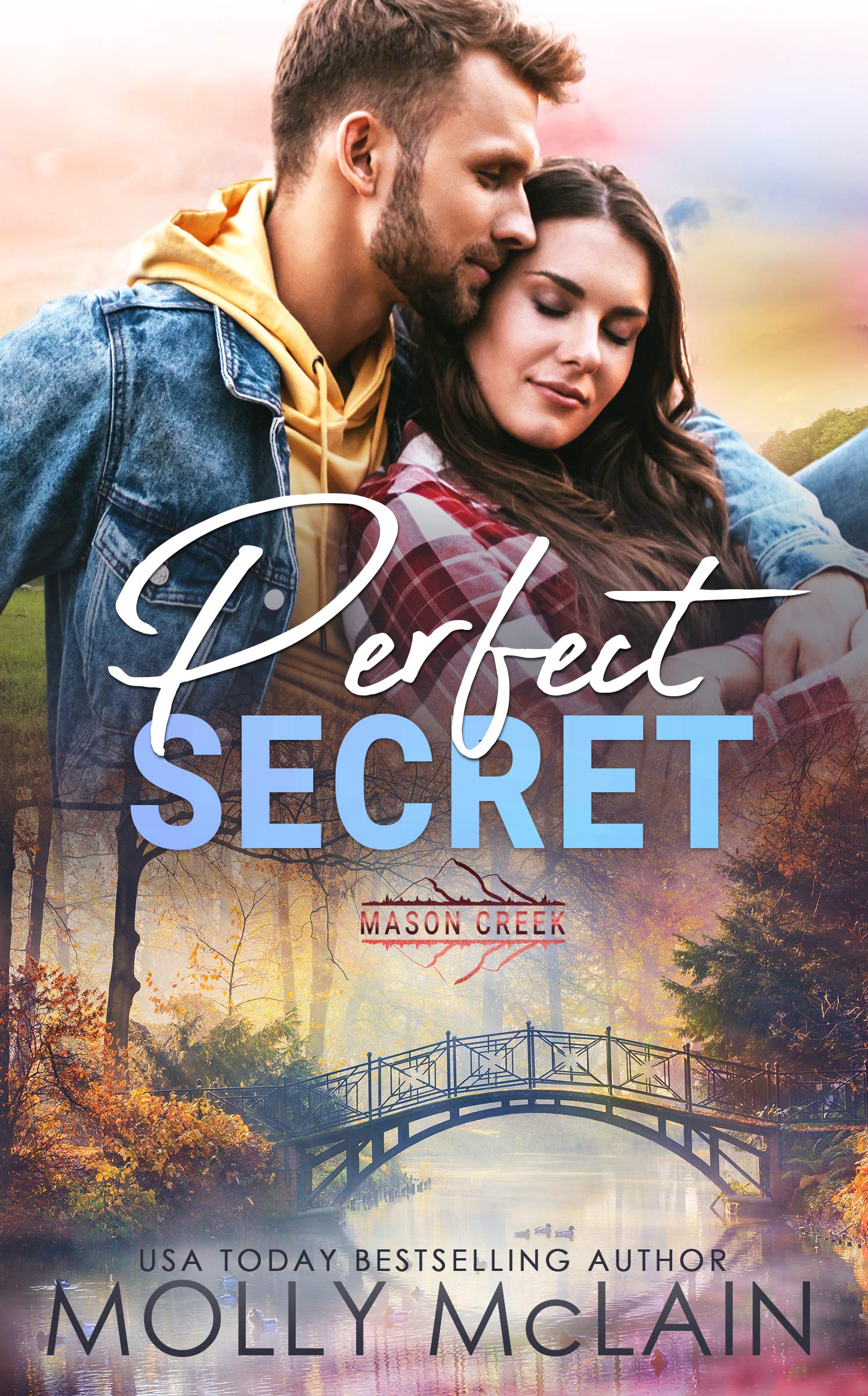 Perfect Secret book cover