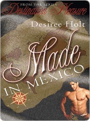 Destination Pleasure book cover 1