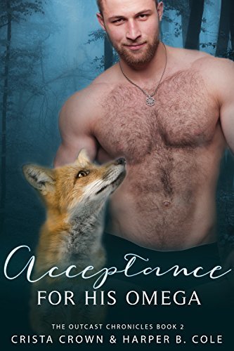 The Outcast Chronicles book cover 2