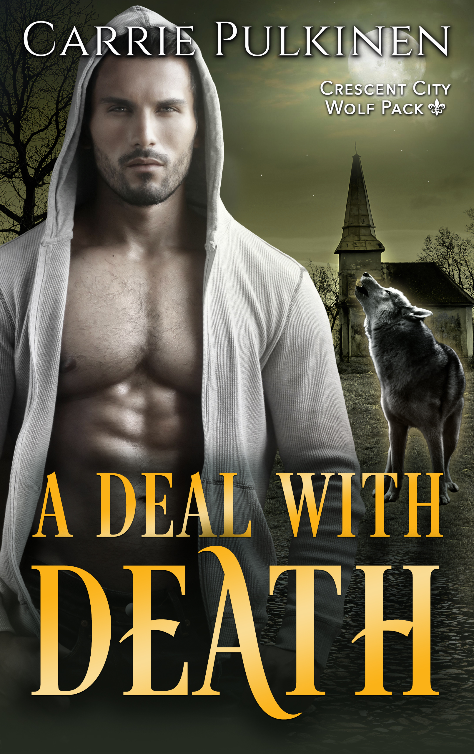 A Deal with Death book cover