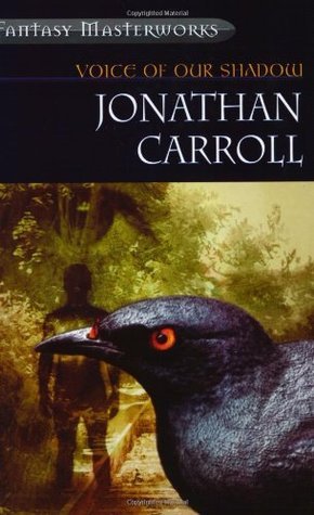Voice of Our Shadow book cover