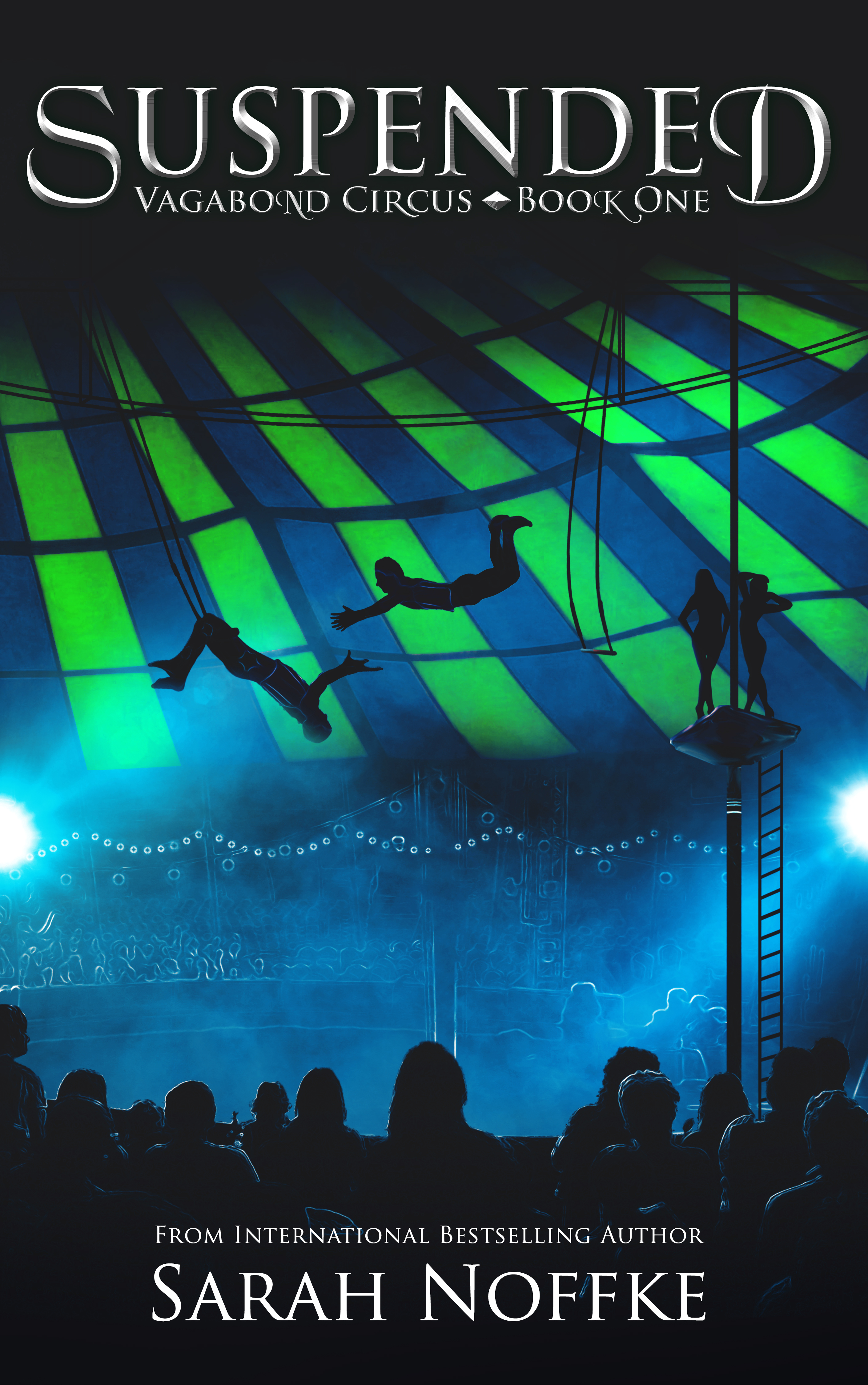 Vagabond Circus book cover 1