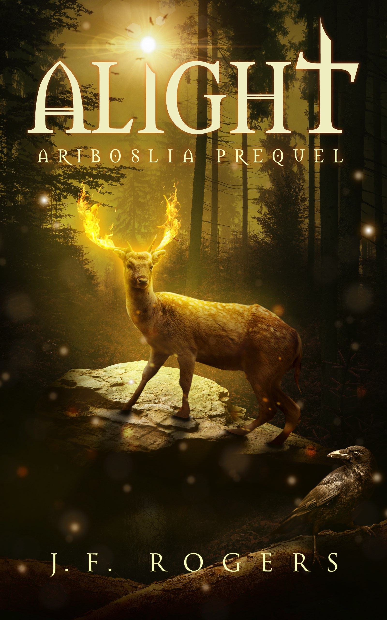 Alight book cover