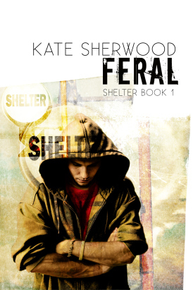 Shelter book cover 1