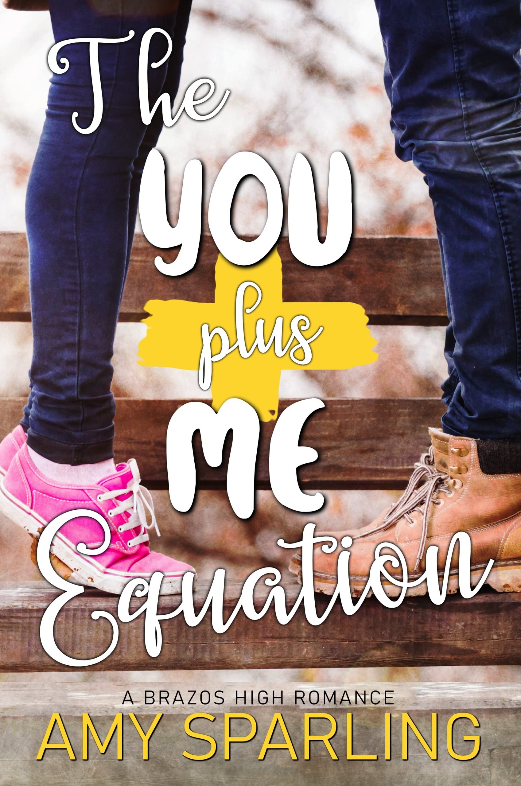 The You Plus Me Equation book cover