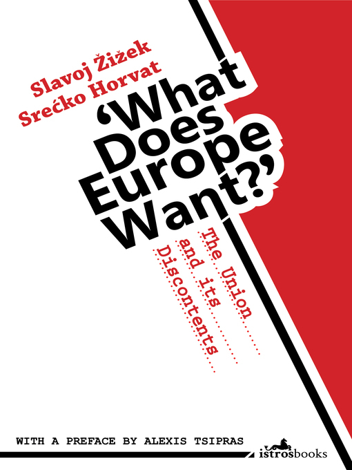 What Does Europe Want? book cover