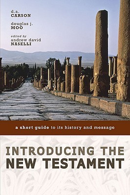 Introducing the New Testament book cover