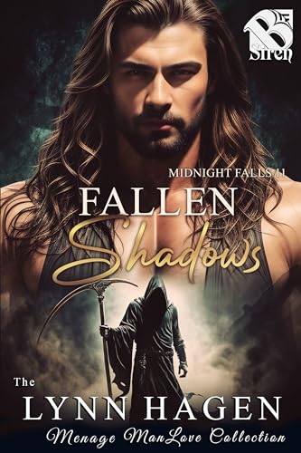 Fallen Shadows book cover