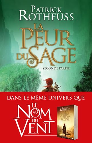 Chronique du Tueur de Roi, T2 book cover