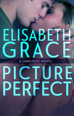Picture Perfect book cover