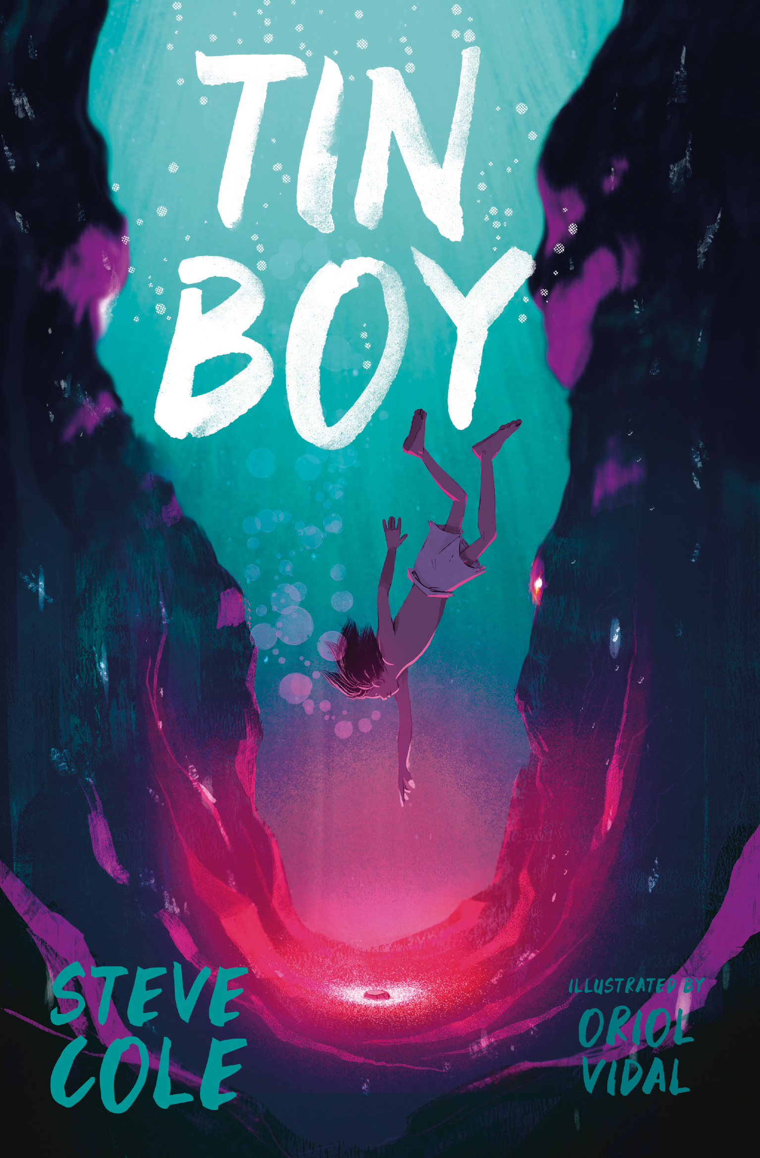 Tin Boy book cover