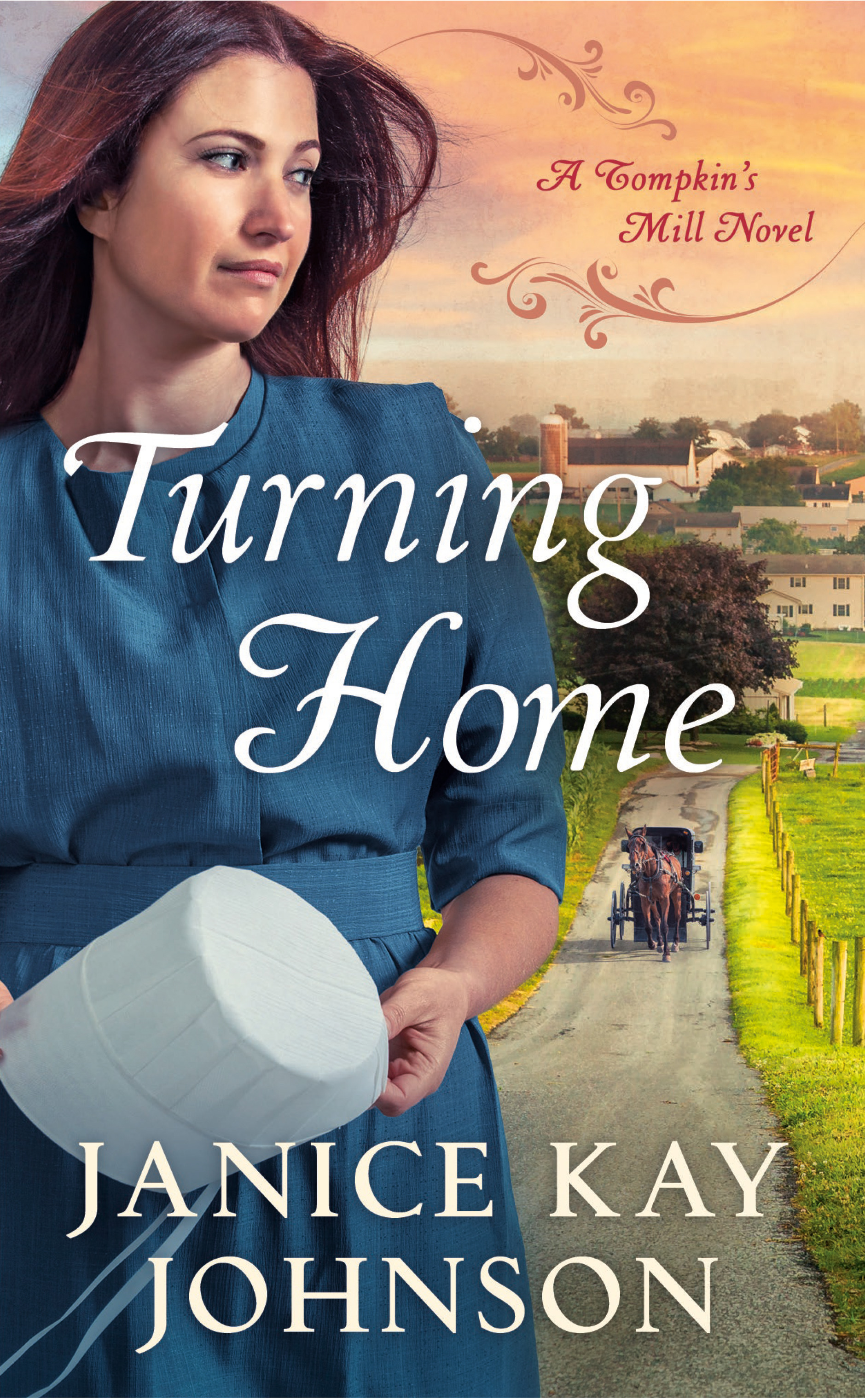 Tompkins Mill book cover 1