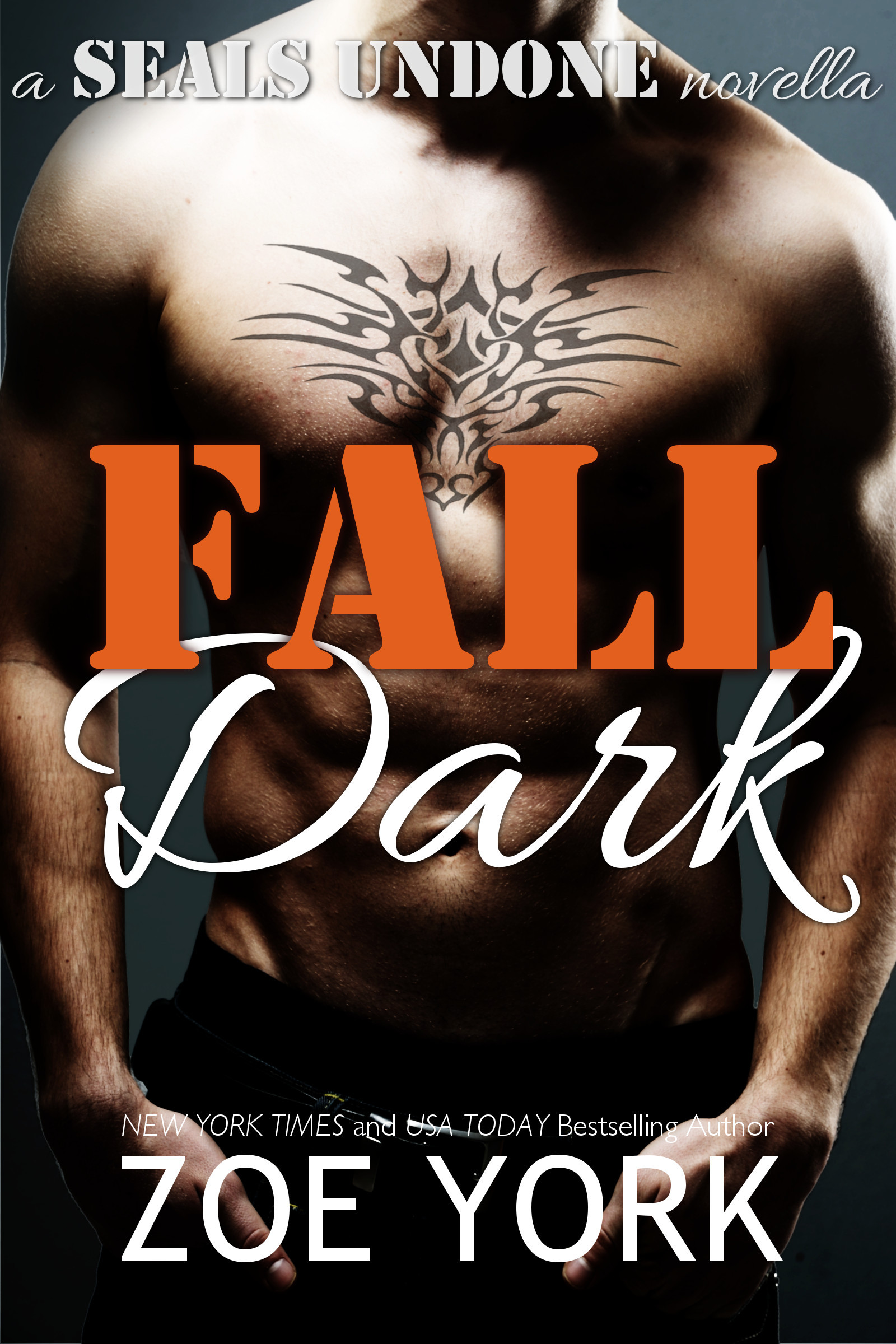 Fall Dark book cover