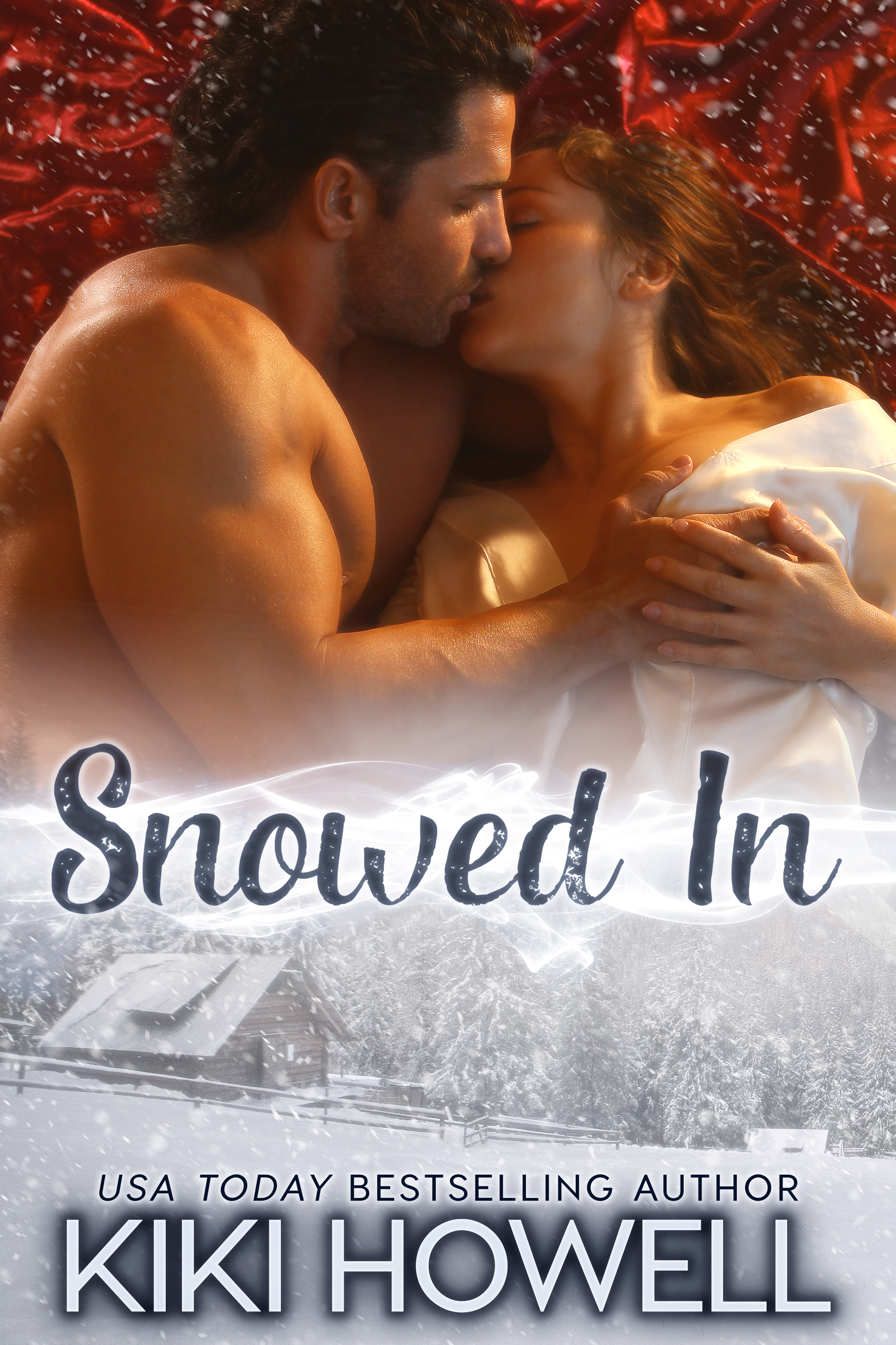 Snowed In! Winter Storm book cover