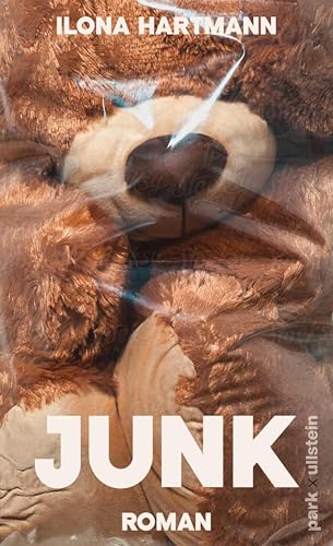 Junk book cover