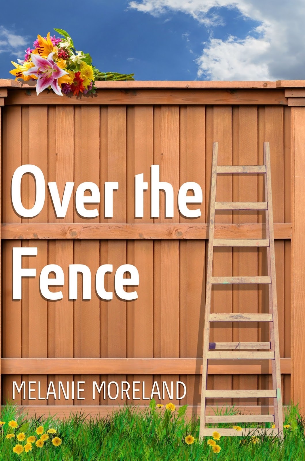 Over the Fence book cover