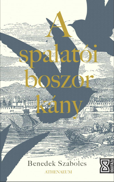 A spalatói boszorkány book cover