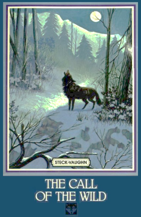 The Call of the Wild book cover