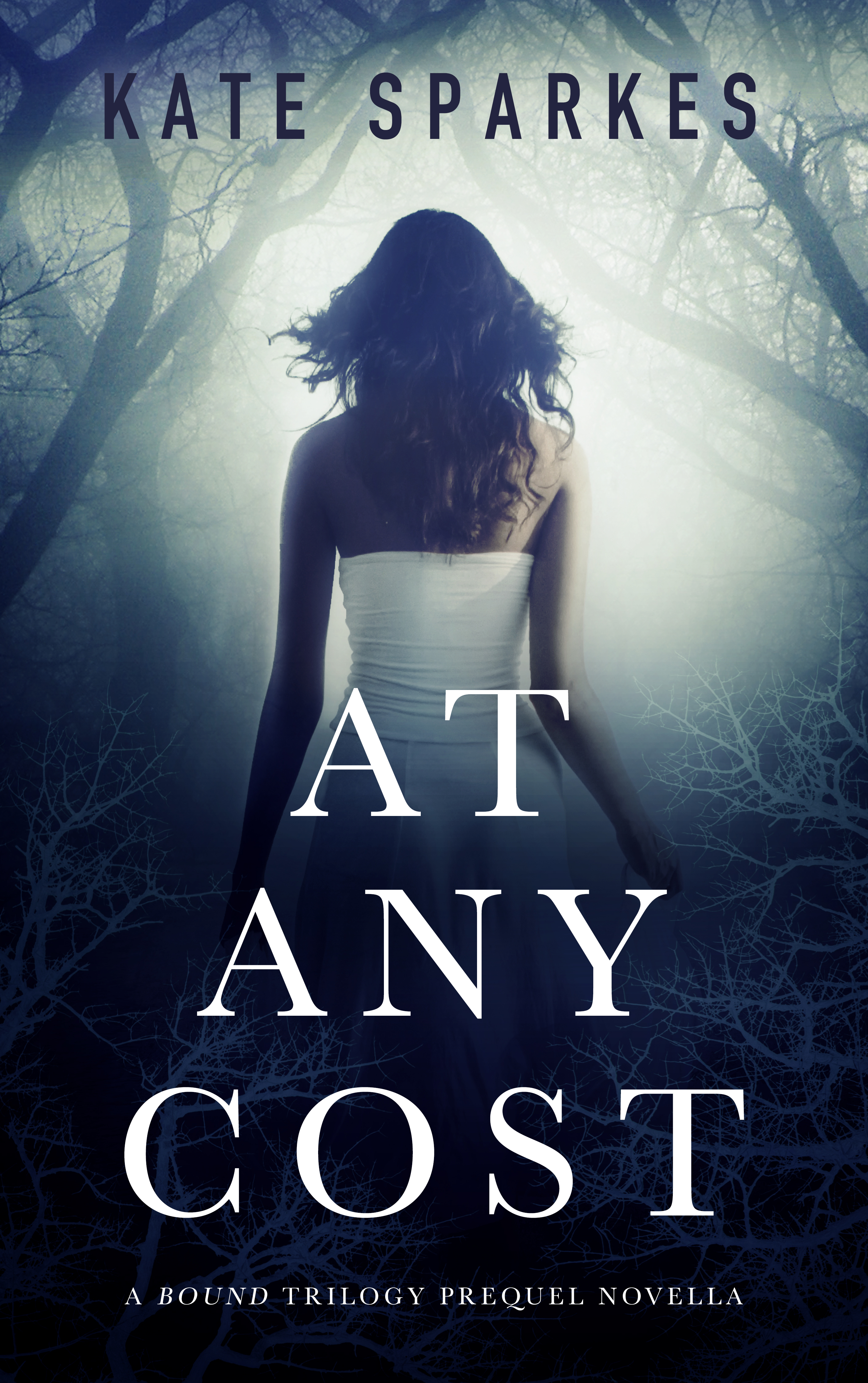 At Any Cost book cover