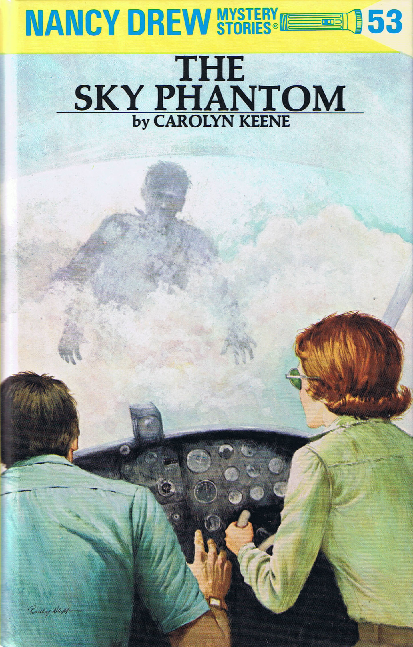 The Sky Phantom book cover