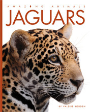 Jaguars book cover