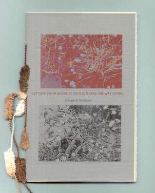 letters from room 27 of the grand midway hotel book cover