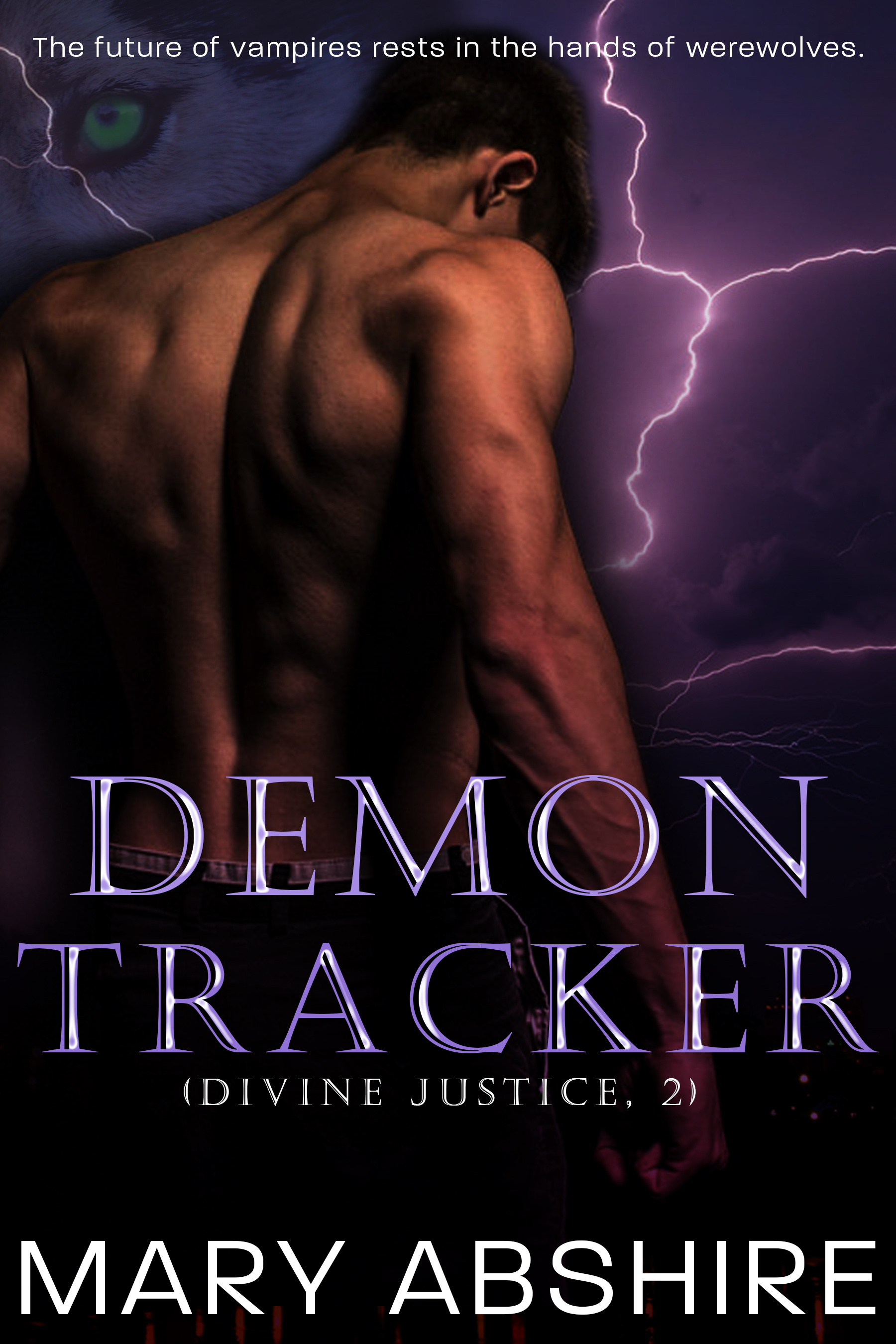 Divine Justice book cover 2