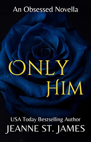 Obsessed book cover 2