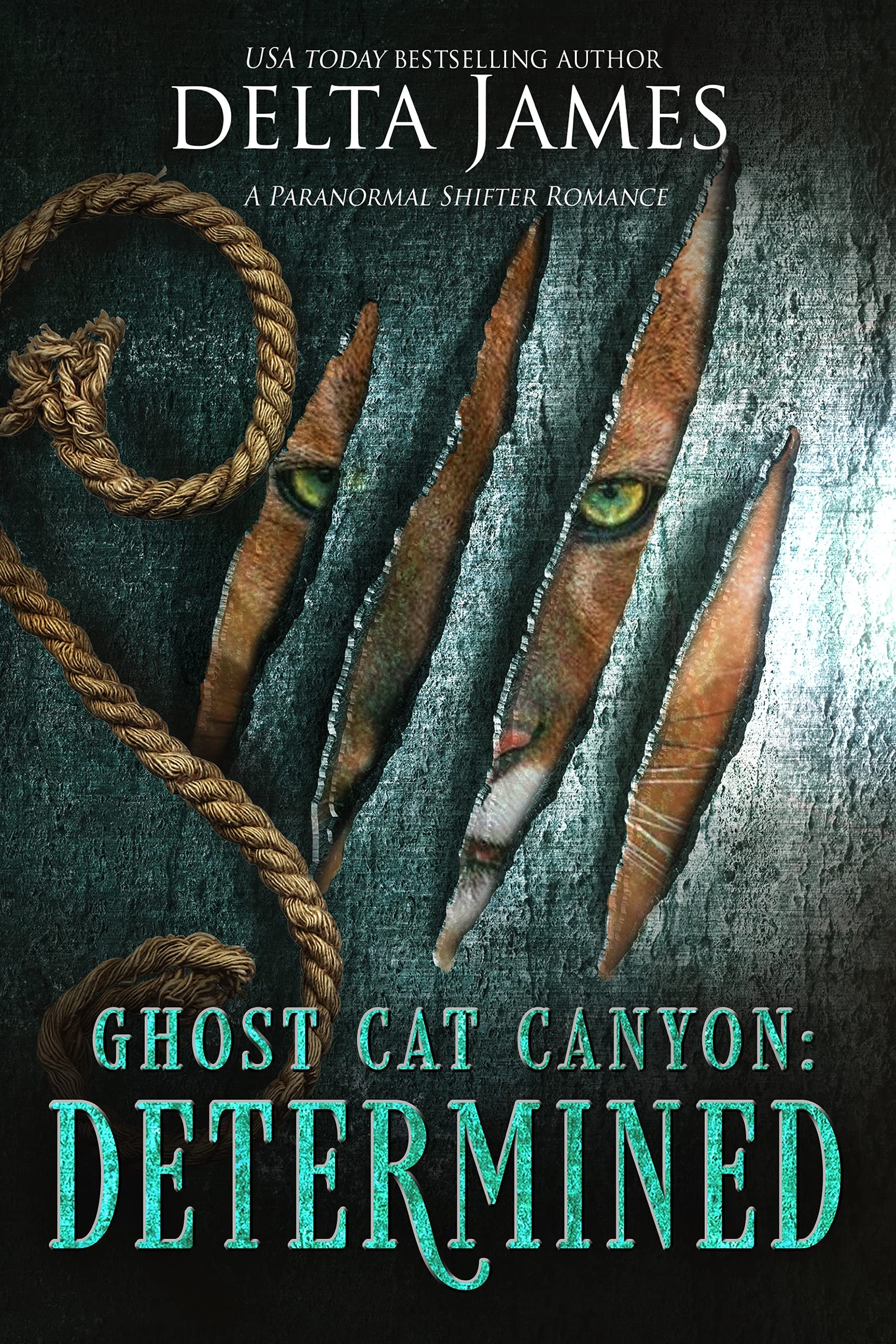 Determined book cover