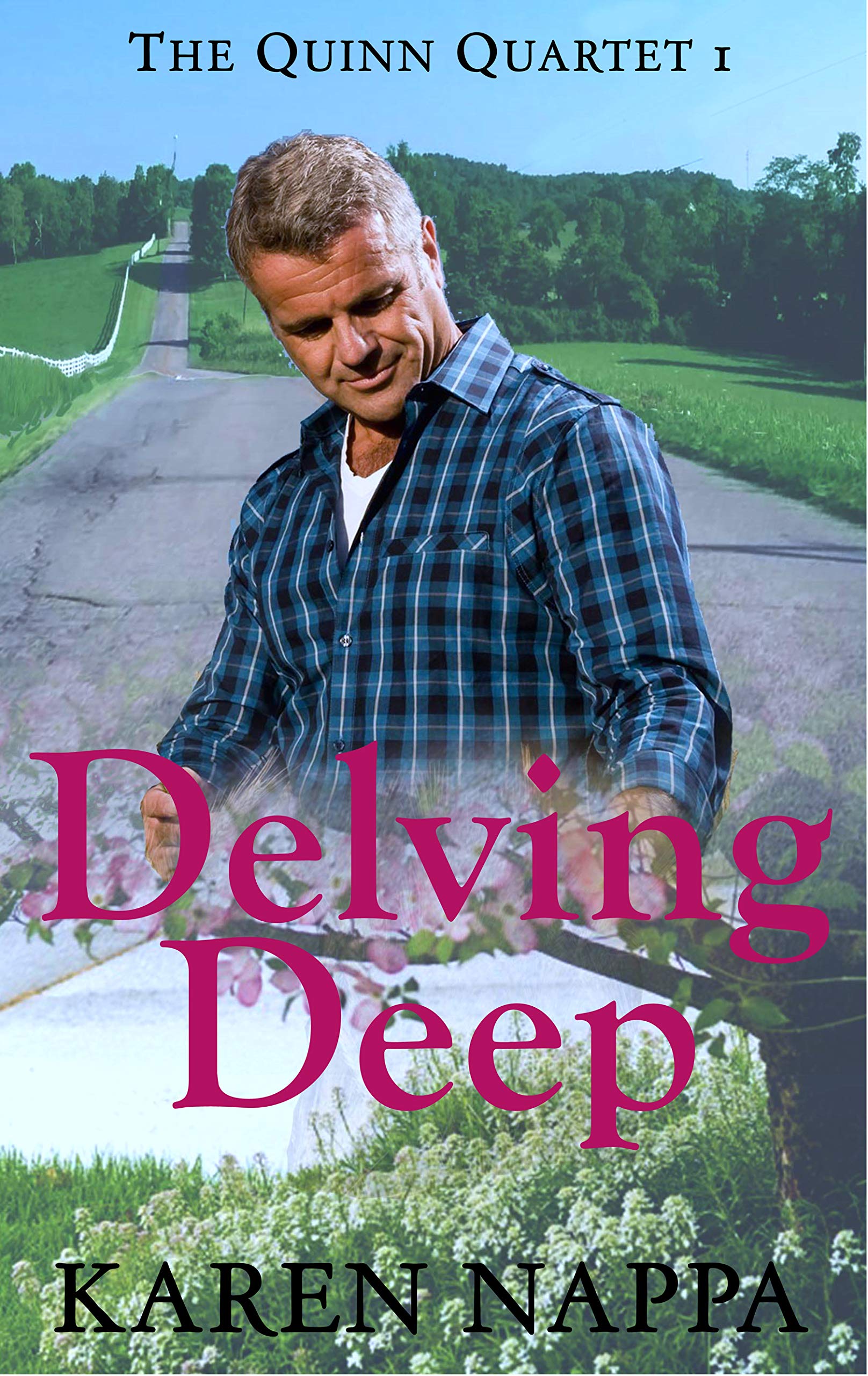 Quinn Quartet book cover 1