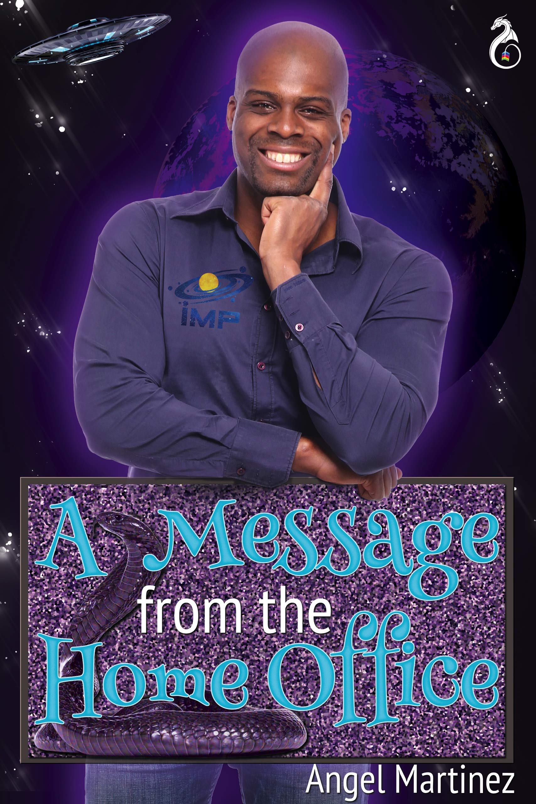 A Message from the Home Office book cover