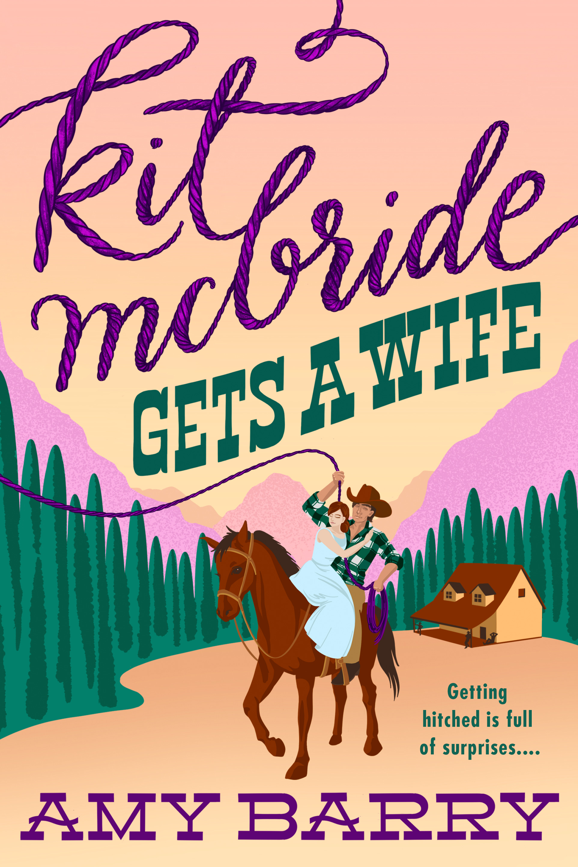 Kit McBride Gets a Wife book cover