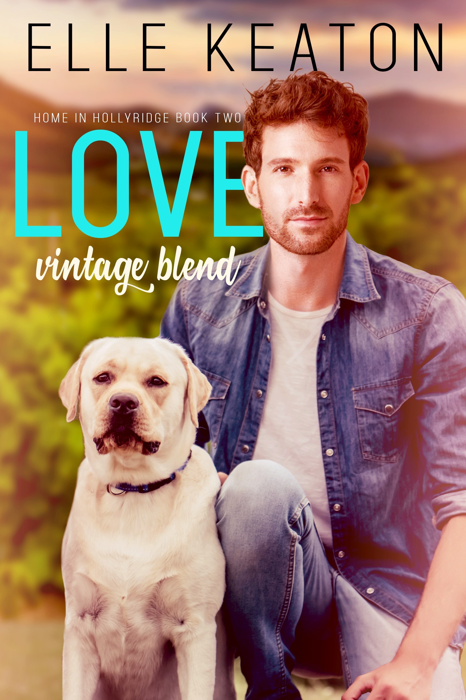 Home in Hollyridge book cover 2