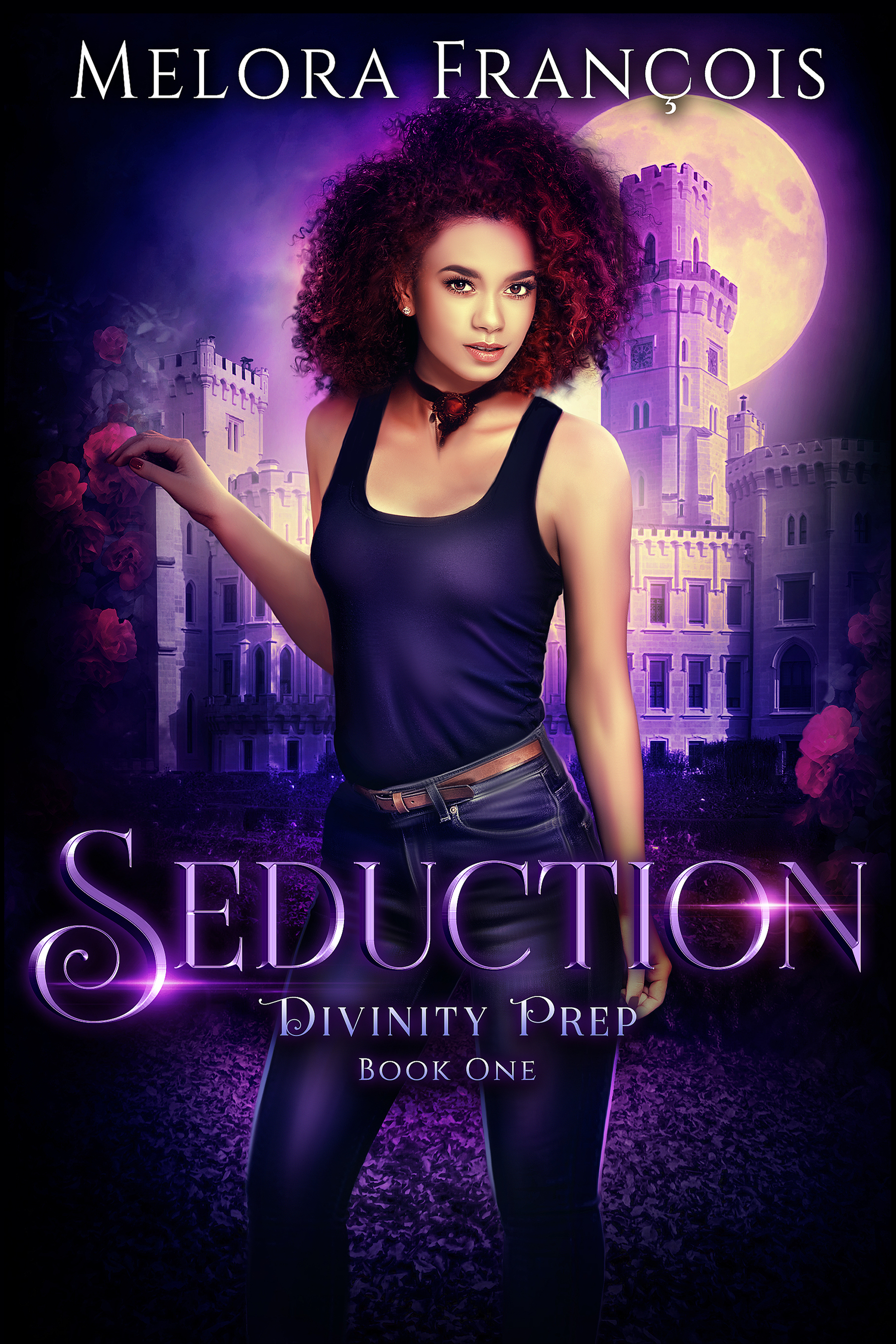 Divinity Prep book cover 1