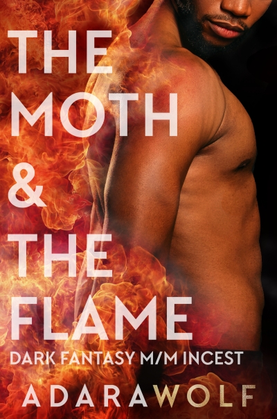 The Moth & The Flame book cover