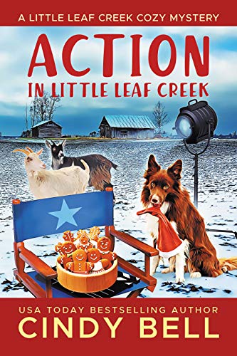 Action in Little Leaf Creek book cover