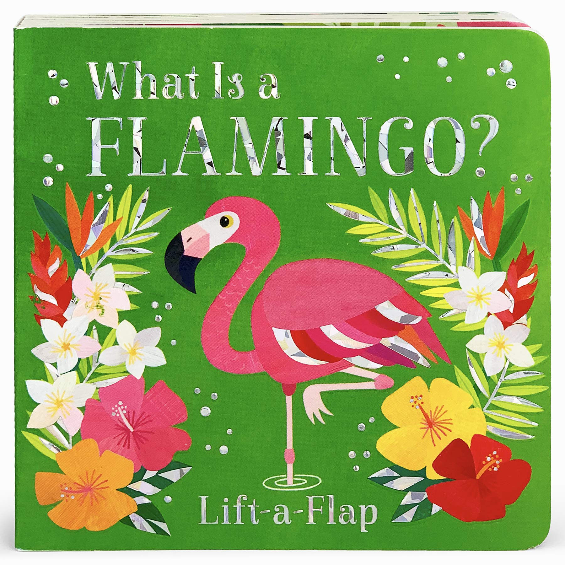 What Is a Flamingo? book cover