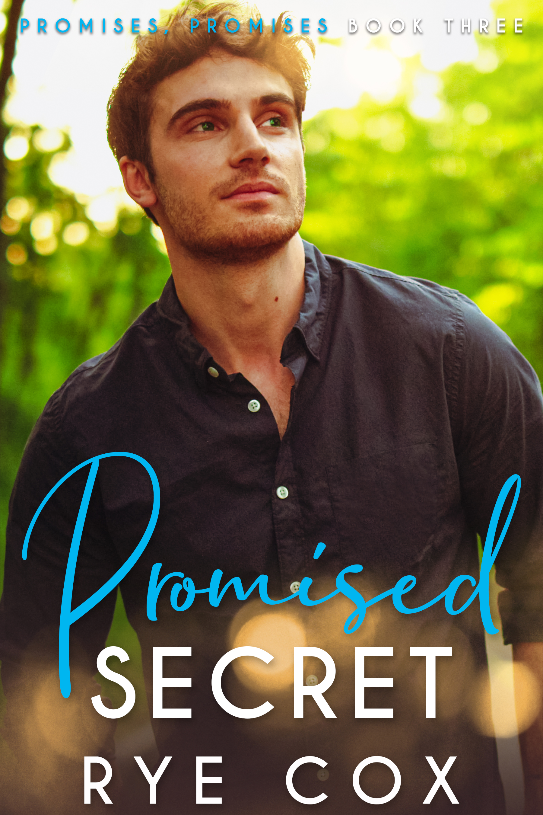 Promises, Promises book cover 3