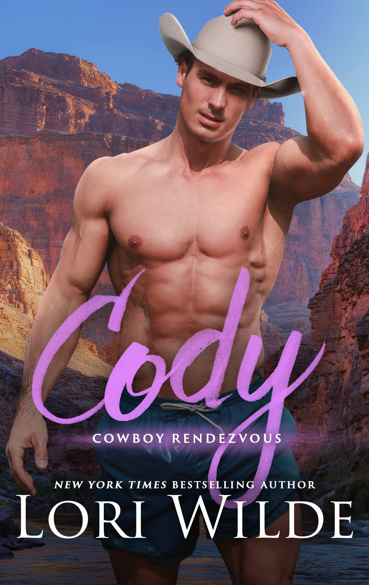 Cowboy Rendezvous book cover 3