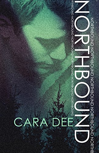 The North Novels book cover 1