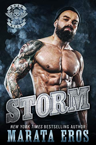 Storm book cover
