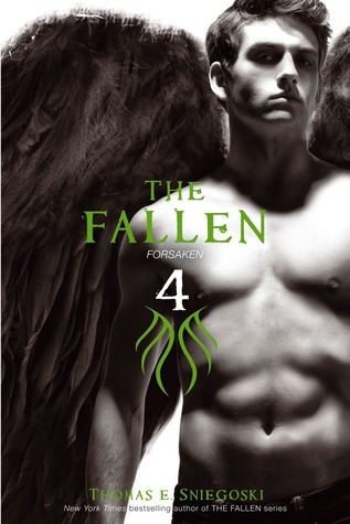 The Fallen book cover 3