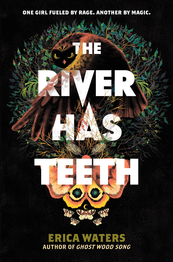 The River Has Teeth book cover