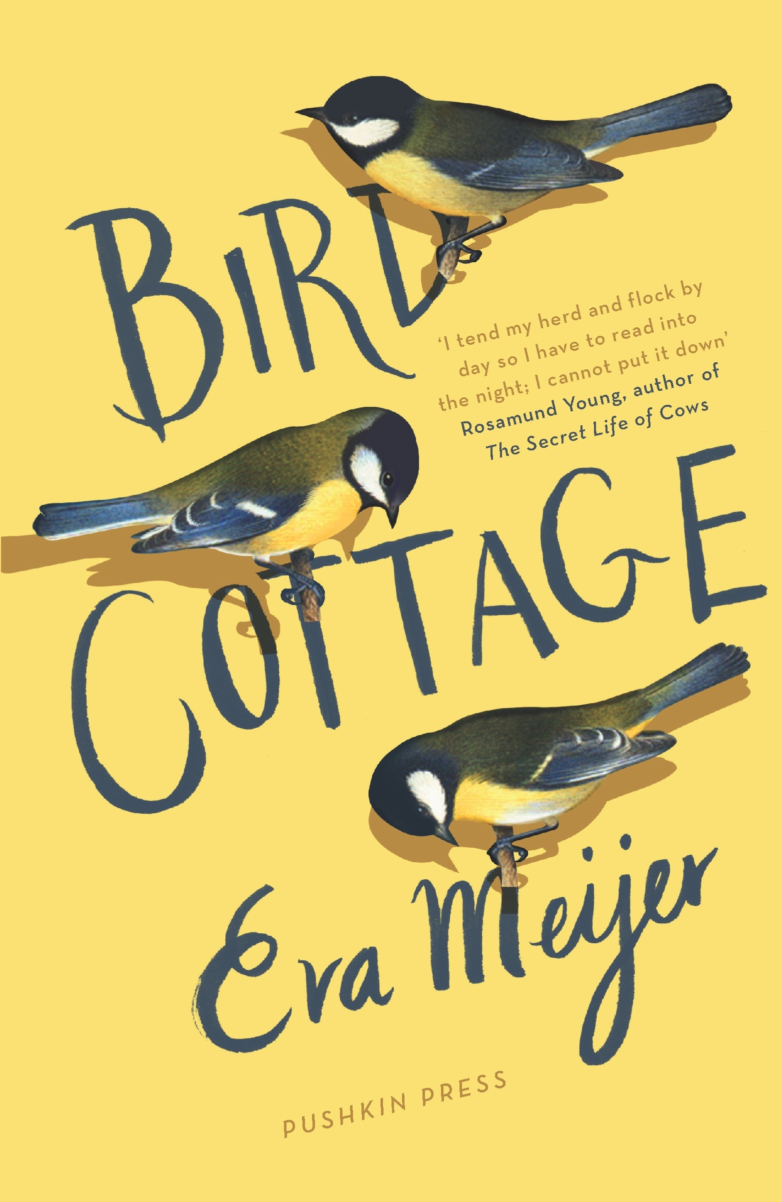 Bird Cottage book cover