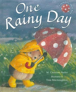 Little Hedgehog book cover 3
