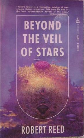 Beyond the Veil of Stars book cover
