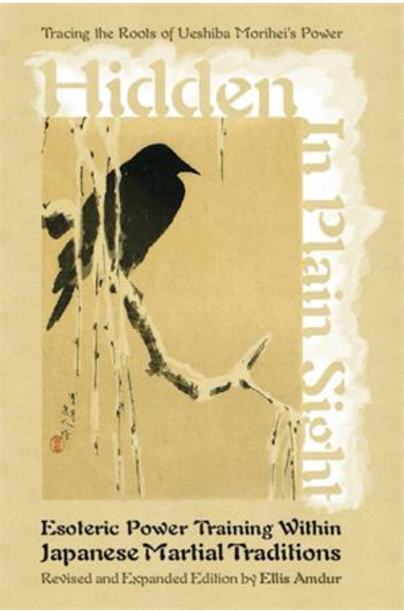 Hidden in Plain Sight book cover