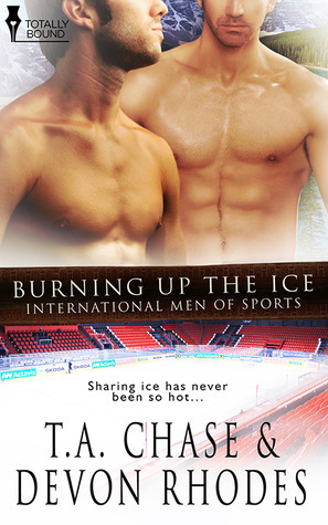 Burning Up the Ice book cover