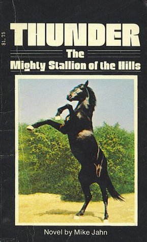 Thunder book cover